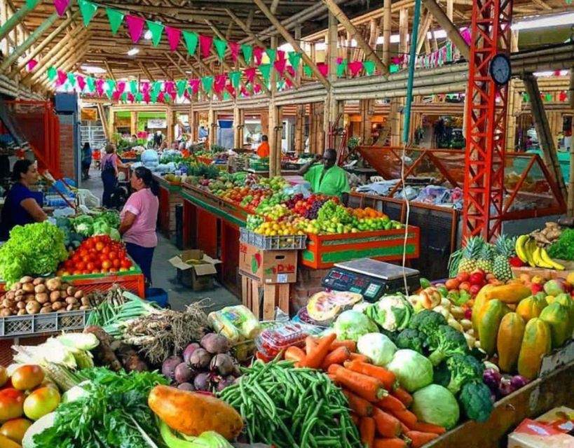 Cali: Cristo Rey, Tertulia Museum & Downtown Cali City Tour - Is $91 a good value?
