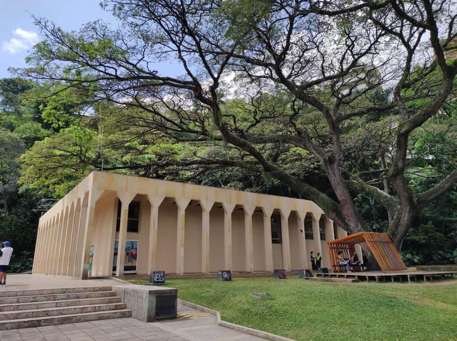 Cali: Cristo Rey, Tertulia Museum & Downtown Cali City Tour - Tertulia Museum and Cali’s modern art scene