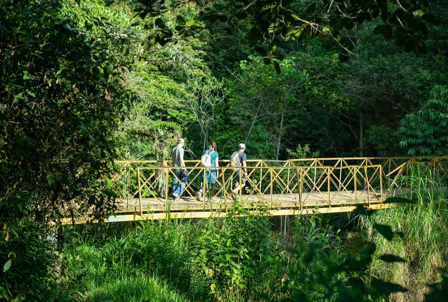 Cali: Hiking to the Pance waterfalls - Guides Who Shape the Day