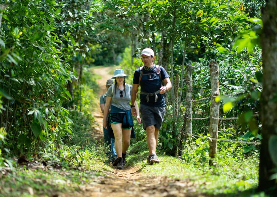 Cali: Hiking to the Pance waterfalls - What the Forest Trail Is Really Like