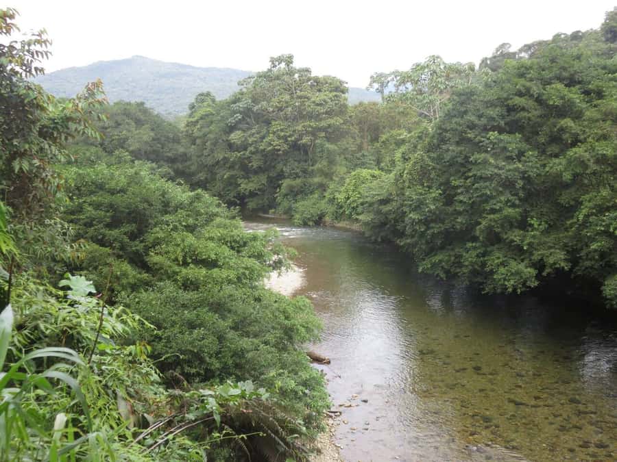 Cali: San Cipriano & River Adventure Day Tour - Is $123 good value for this day?