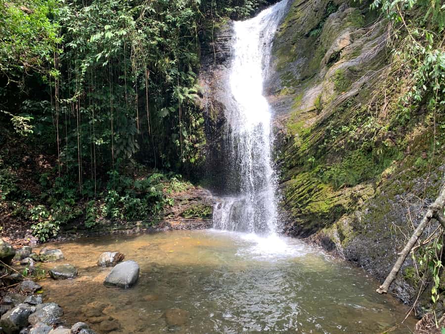 Cali: Tour of Waterfall in Pance River - Chorrera del Indio - Local food at the river
