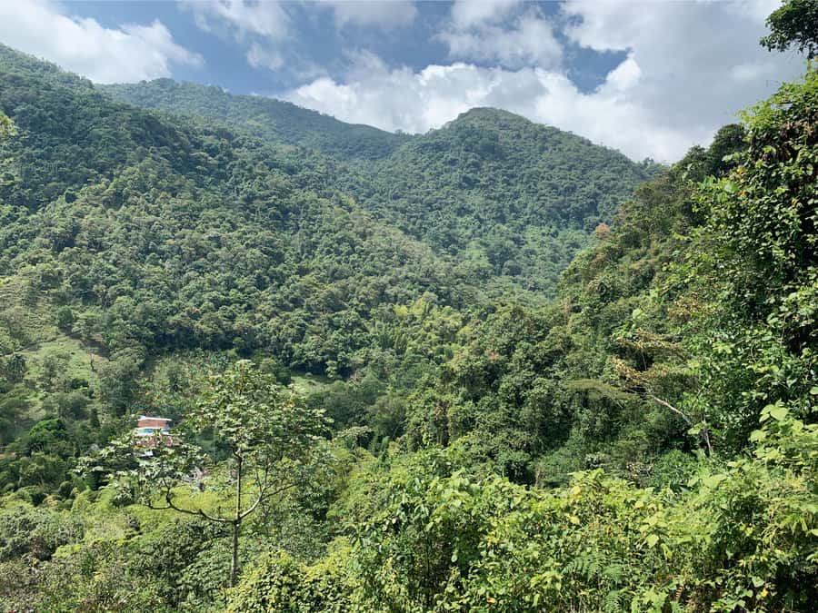 Cali: Tour of Waterfall in Pance River - Chorrera del Indio - Optional Pance Park Health Foundation stop