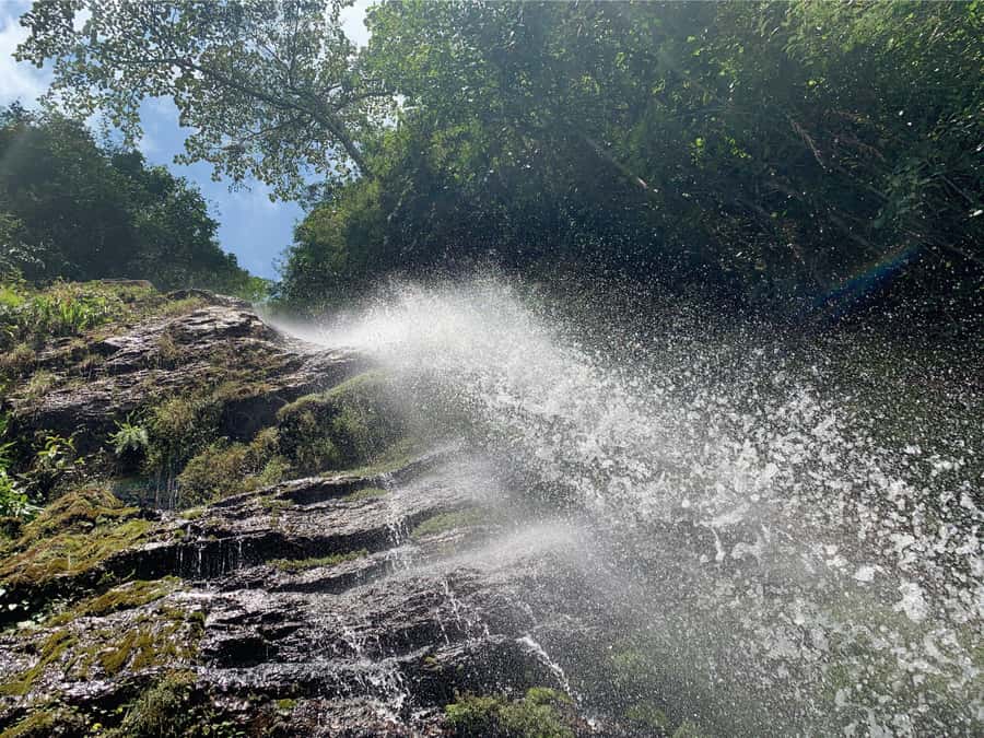 Cali: Tour of Waterfall in Pance River - Chorrera del Indio - Who will enjoy this Cali outing?