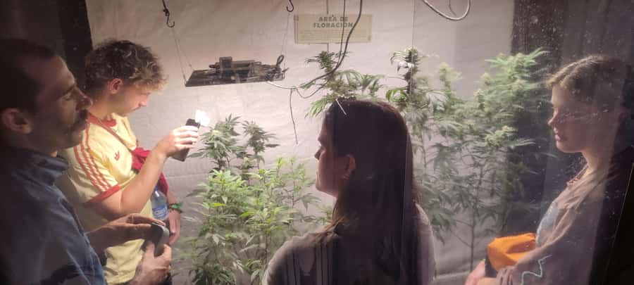 CANNABIS EXPERIENCE - Key points to know before you go
