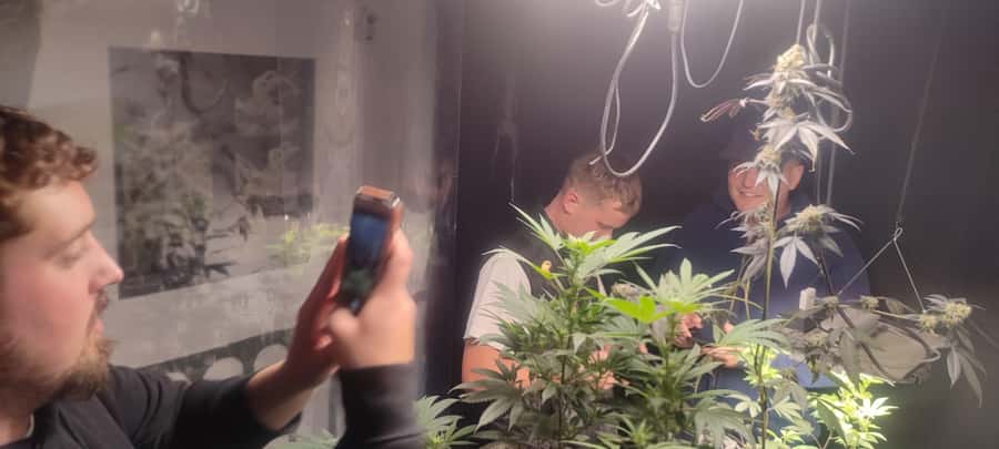 CANNABIS EXPERIENCE - Choosing the best time for the two-hour visit