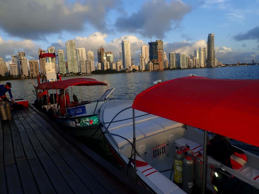 Cartagena: 2 Tanks Dive Plan For CERTIFIED DIVERS - Key points to know before booking