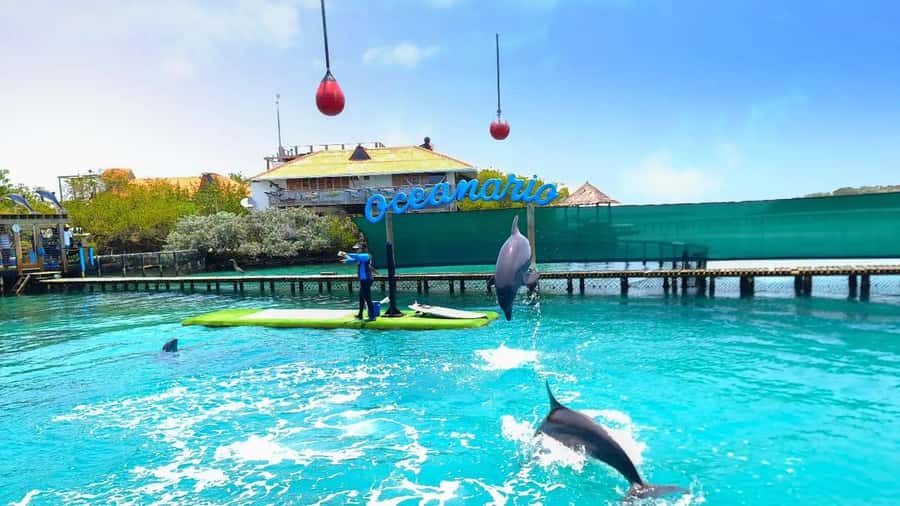 CARTAGENA: 4 islands by sport boat +oceanarium tickets - Lunch beside Baru’s clear water