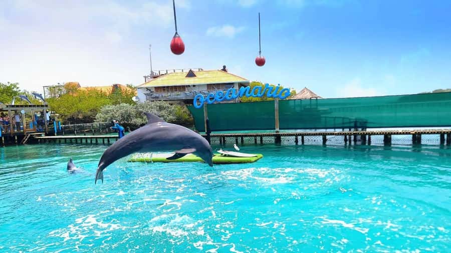 CARTAGENA: 4 islands by sport boat +oceanarium tickets - What this Rosario Islands day is really like