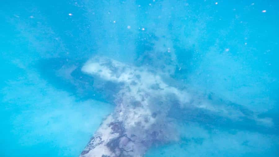 CARTAGENA: 4 islands by sport boat +oceanarium tickets - The submerged airplane near the Rosario Islands