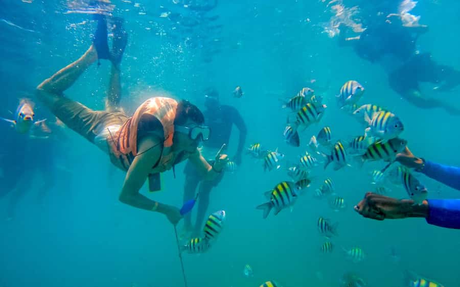 Cartagena: 5 Island Boat Tour with Night Bioluminescent Stop - Guides, Language, and Group Experience