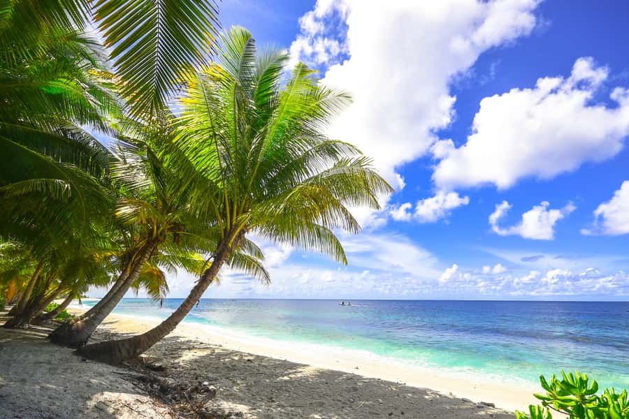 Cartagena: 5 Islands Boat Tour with Lunch, Snorkeling, & Bar - Key points before you book