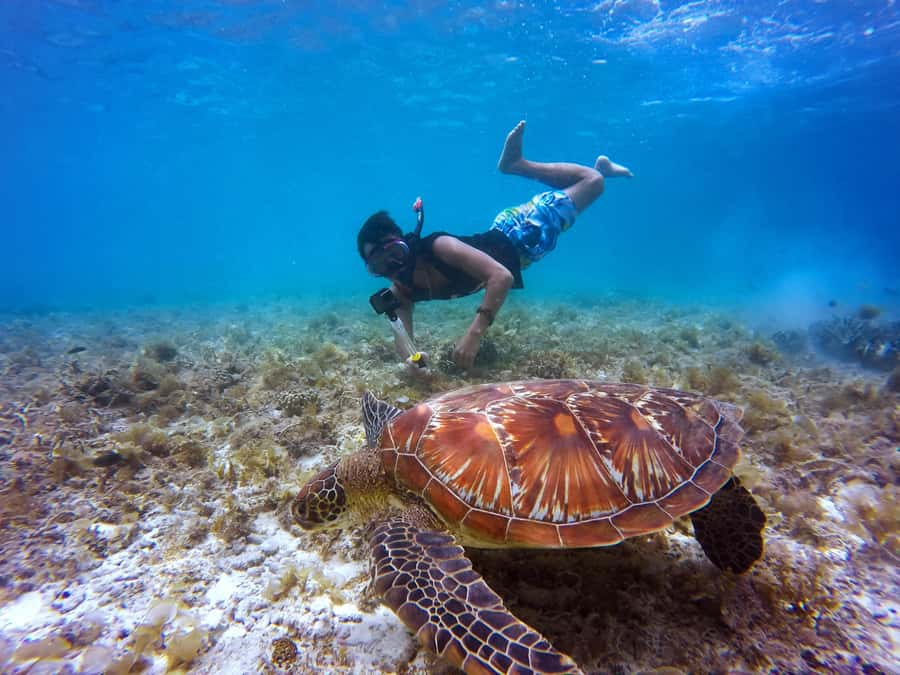 Cartagena: 5 Islands Boat Tour with Lunch, Snorkeling, & Bar - What the $159 price really covers