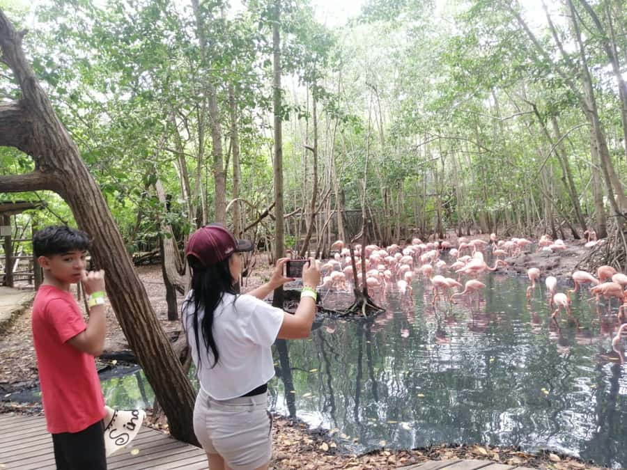 Cartagena: Aviary National Park Tour with Hotel Pickup - Entering the Aviary and Finding Your Way
