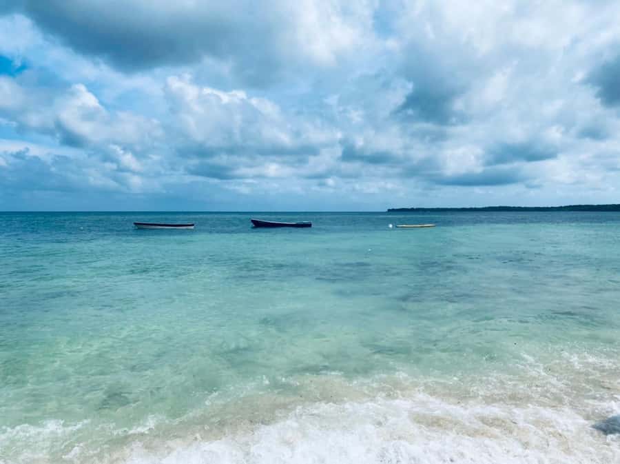 Cartagena: Baru Island & Playa Tranquila Day Trip with Lunch - Key points before you book