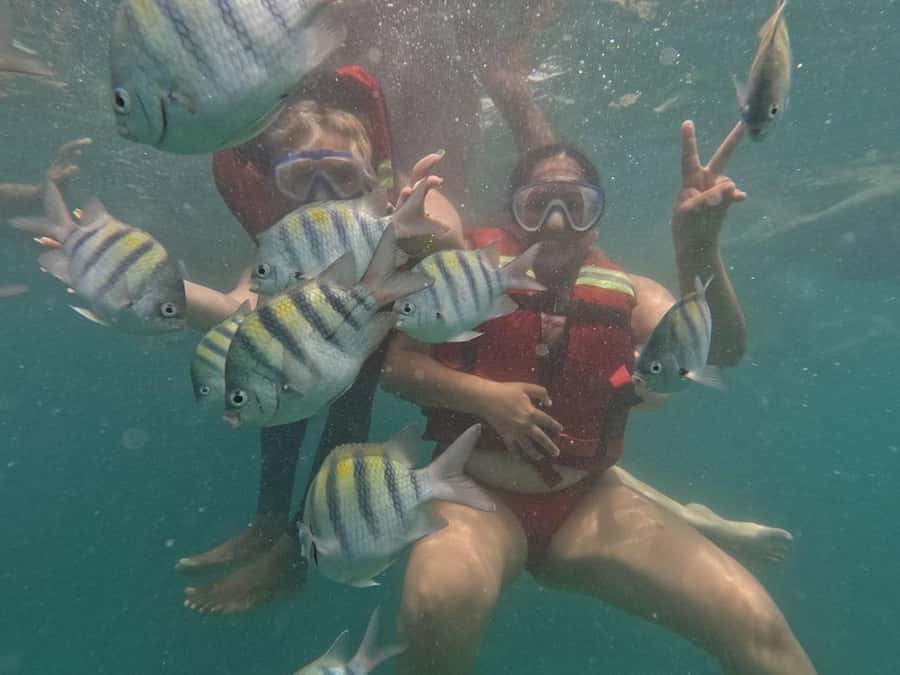 Cartagena: BARÚ Playa blanca with SNORKELING INCLUDED - What This Barú Day Trip Actually Offers