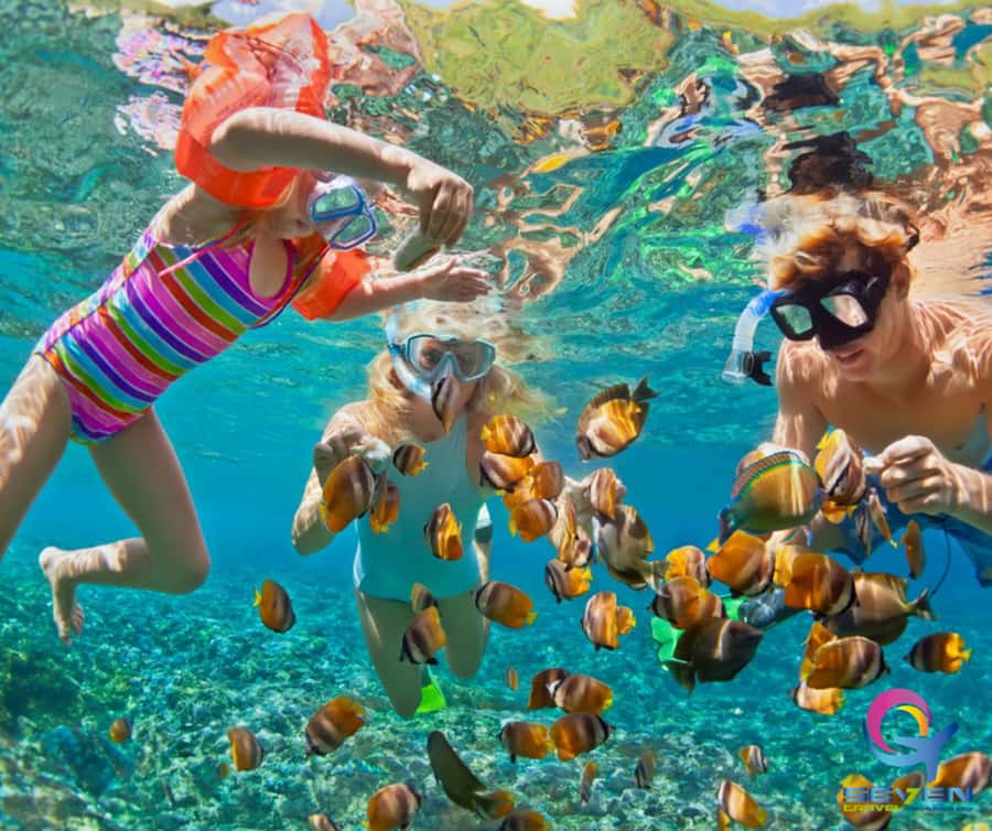 Cartagena: BARÚ Playa blanca with SNORKELING INCLUDED - Morning Pickup in Cartagena: Plan for an Early Start