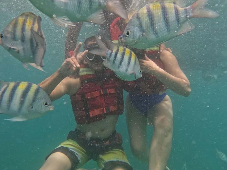 Cartagena: BARÚ Playa blanca with SNORKELING INCLUDED - Snorkeling Near Playa Blanca