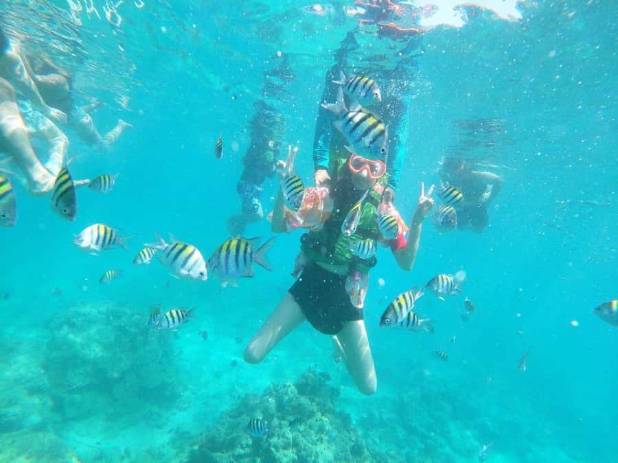 Cartagena: BARÚ Playa blanca with SNORKELING INCLUDED - Who Will Enjoy This Cartagena Excursion Most?