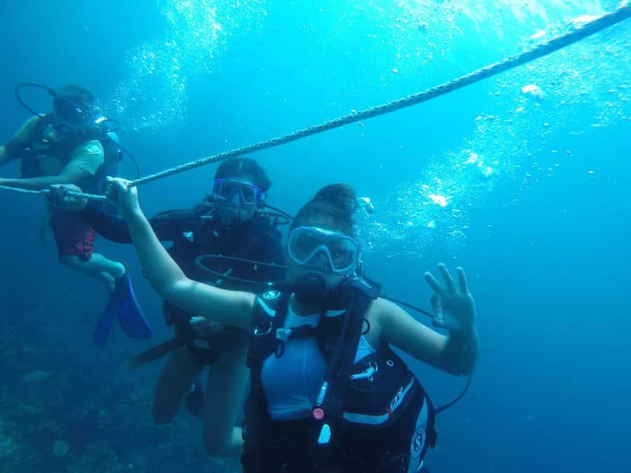 Cartagena: Basic Diving for beginners in Rosario Islands - Why This Beginner Session Works
