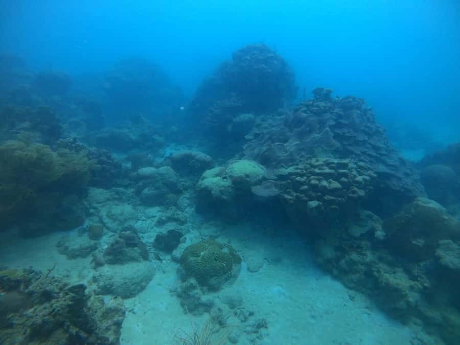 Cartagena: Basic Diving for beginners in Rosario Islands - Beach Time After the Reef Session