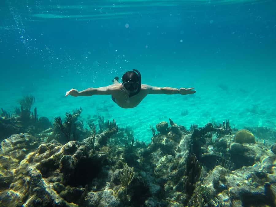 Cartagena: Basic Diving for beginners in Rosario Islands - Early Pickup From Cartagena’s Hotel Zones