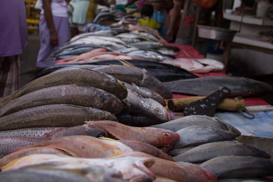 Cartagena Bazurto Market: Authentic Food & Culture Tour - Afro-Caribbean Heritage, Street Art, and Local Crafts