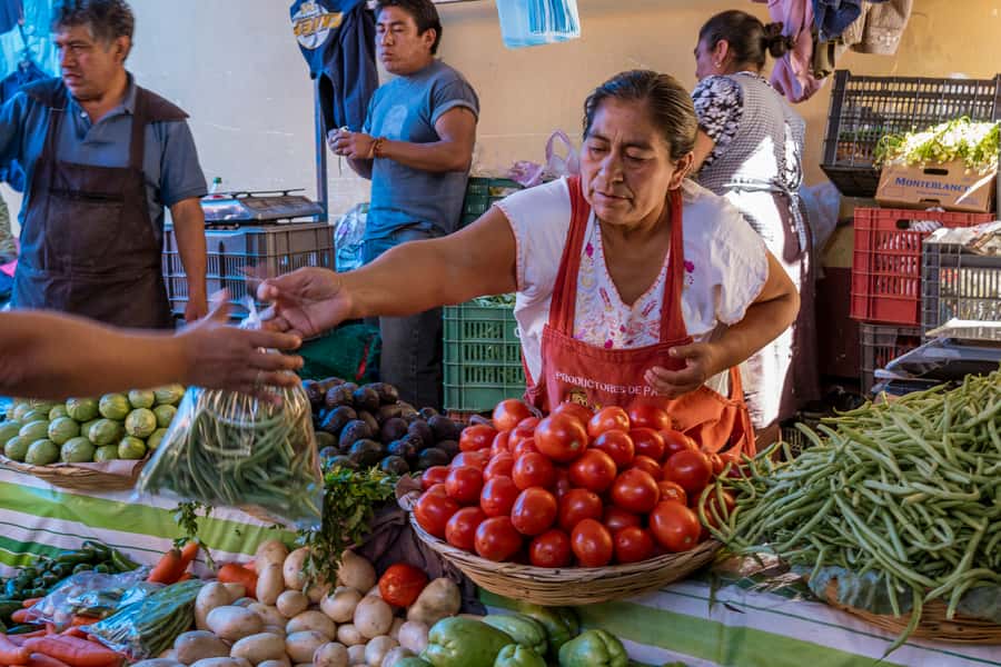 Cartagena: Bazurto Market & La Popa Convent Tour with Lunch - Bazurto Market is the real test of your curiosity