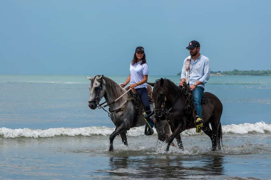 Cartagena: Beach Horse Ride and Colombian Equestrian Culture - Key points to know before you book