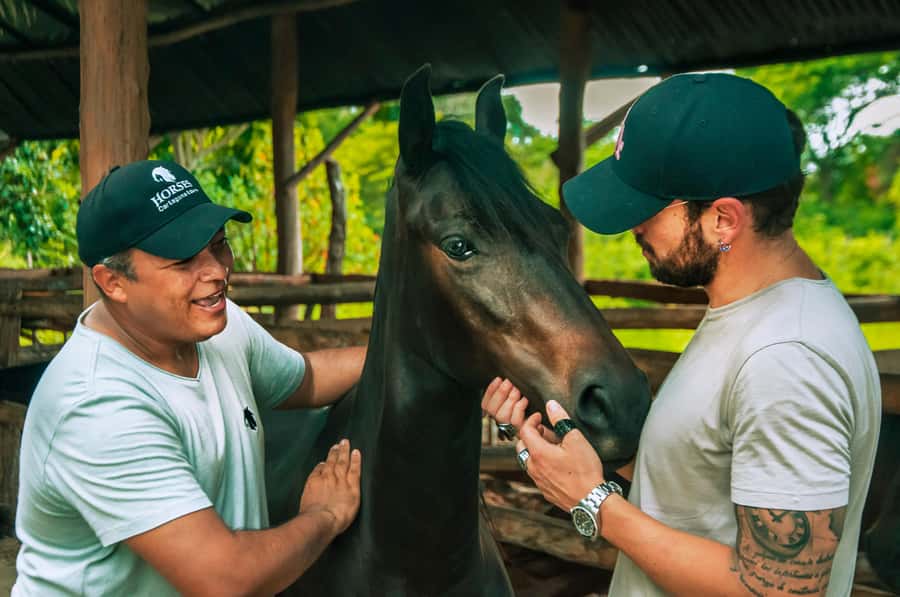 Cartagena: Beach Horse Ride and Colombian Equestrian Culture - From your Cartagena hotel to the ranch