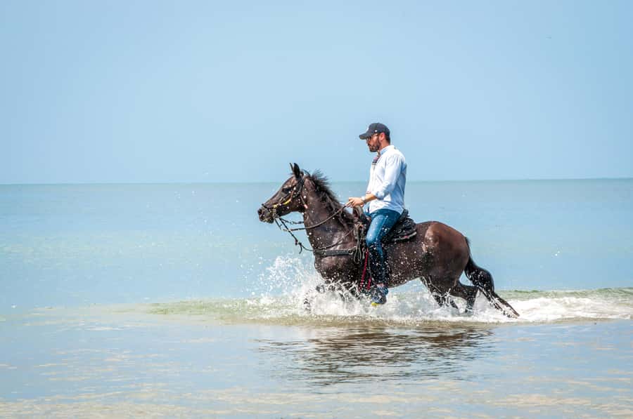 Cartagena: Beach Horse Ride and Colombian Equestrian Culture - The restaurant stop after the beach