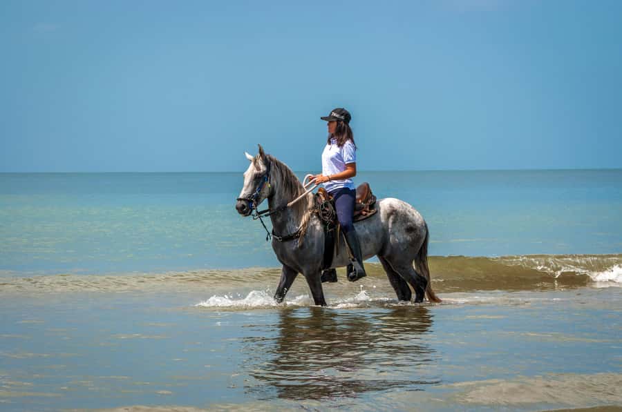 Cartagena: Beach Horse Ride and Colombian Equestrian Culture - Is $186 a fair price?
