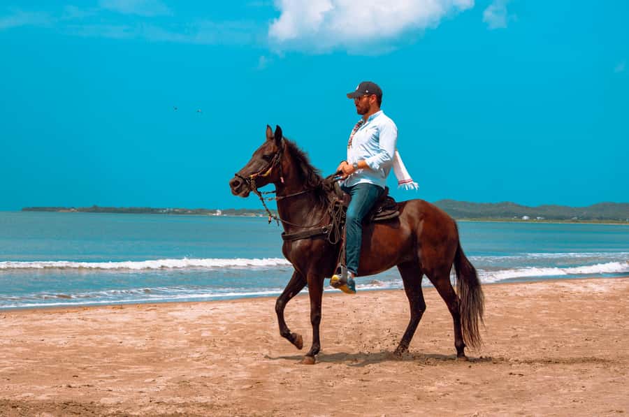 Cartagena: Beach Horse Ride and Colombian Equestrian Culture - Who will enjoy this experience most?