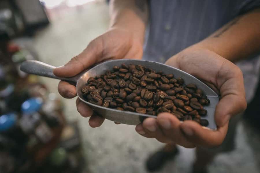 Cartagena Coffee Masterclass: Artisanal Roasting and Brewing - Who will enjoy this experience most?