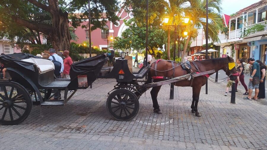 Cartagena: COLLONIAL HORSE DRAWN CARRIAGE by THE OLD CITY - Key points to know before you book