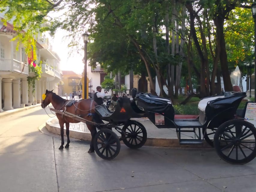 Cartagena: COLLONIAL HORSE DRAWN CARRIAGE by THE OLD CITY - Photos, pace, and the feel of the ride