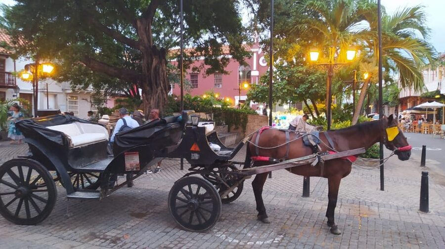 Cartagena: COLLONIAL HORSE DRAWN CARRIAGE by THE OLD CITY - The bilingual guide and the value of commentary