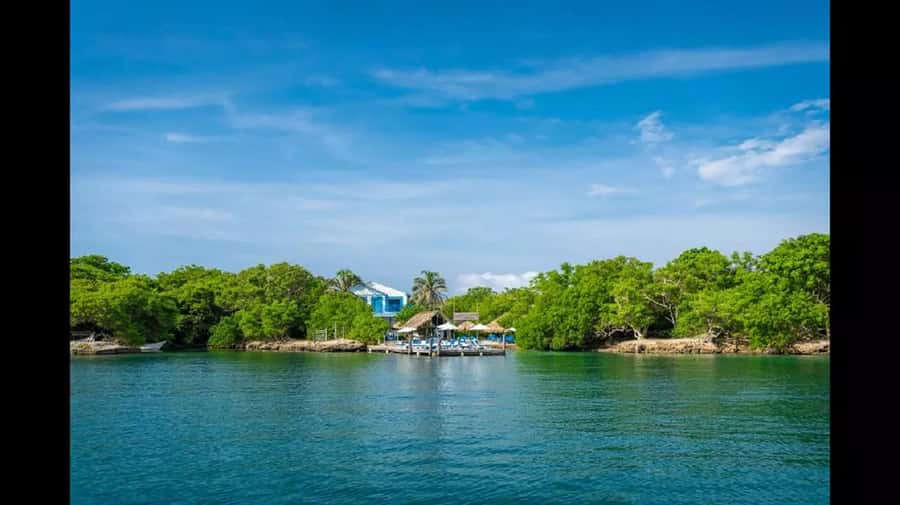 Cartagena: Coralina Island Day Trip with Lunch - Swimming, snorkeling, mangroves, and downtime