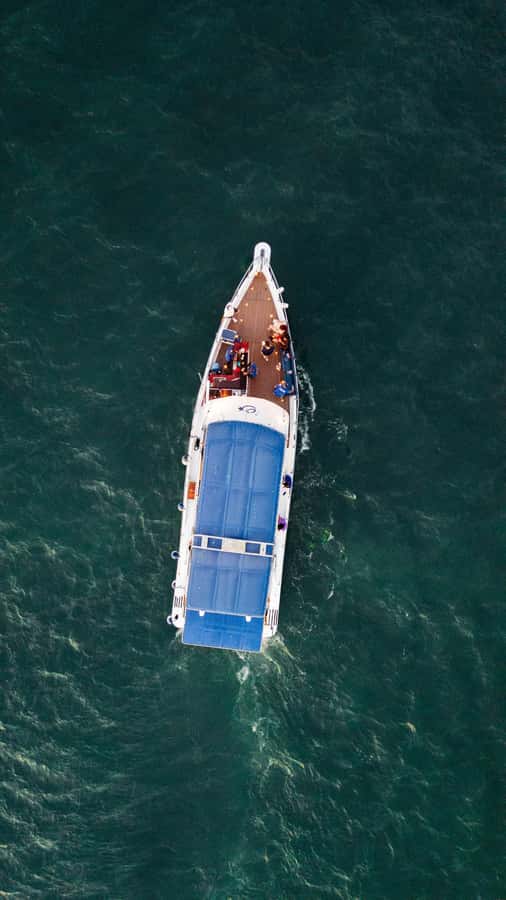 Cartagena: Cruise by the Bay with Dinner and Wine - Wine, music, and the evening mood