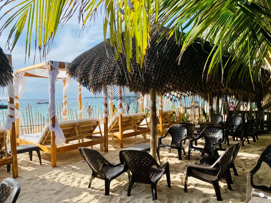 Cartagena: Day Trip Aviary and enjoy Playa Blanca by bus - Why pair the aviary with Playa Blanca?