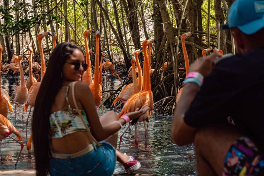 Cartagena: Day Trip Aviary and enjoy Playa Blanca by bus - Starting early from Cartagena