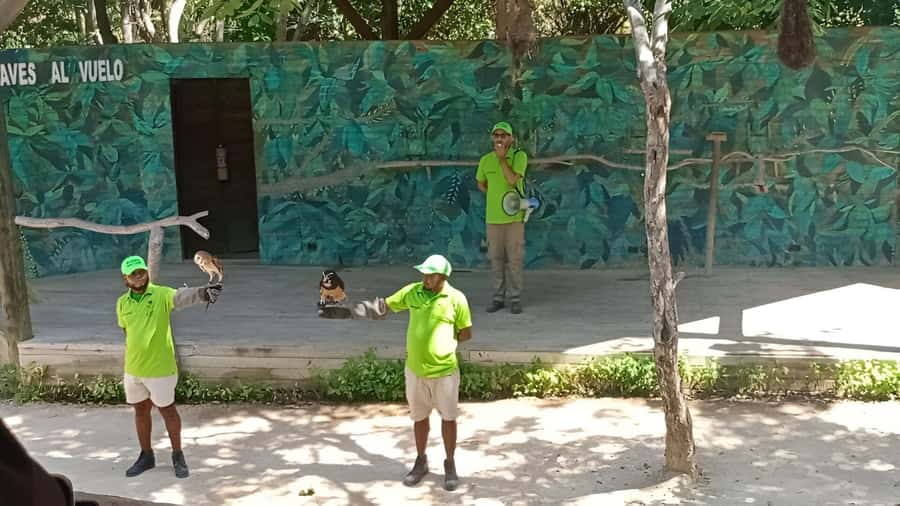 Cartagena: Daytour Aviary and Playa blanca, Barú by bus! - Key points to know before booking