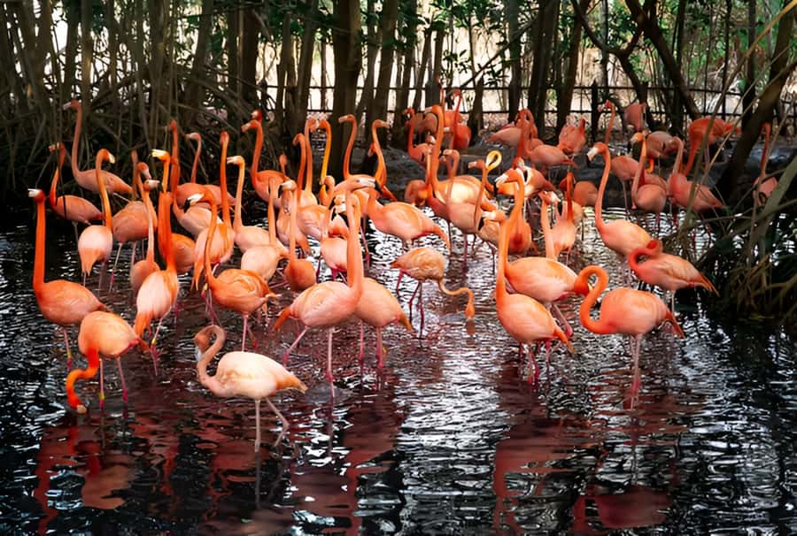 Cartagena: Daytour Aviary and Playa blanca, Barú by bus! - The bus ride toward Barú