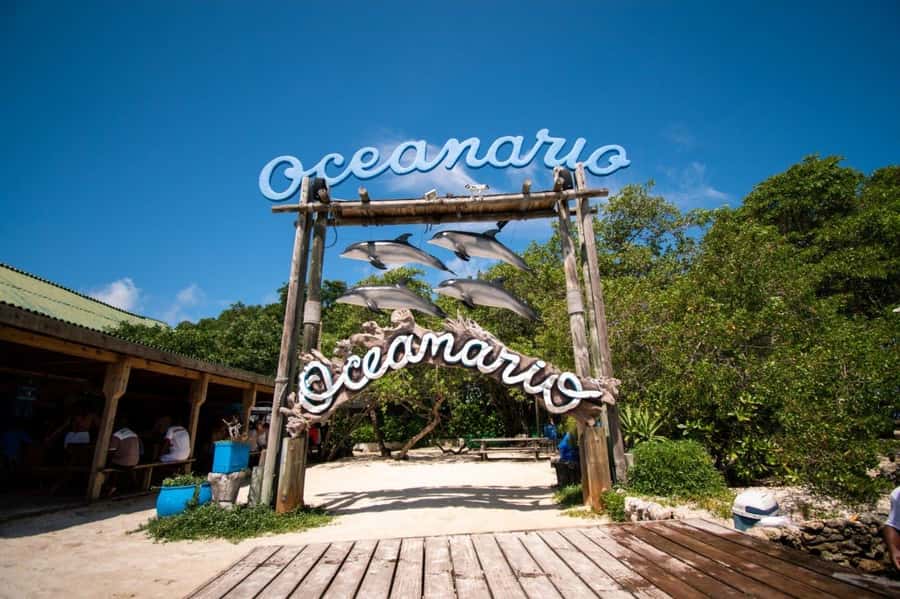 Cartagena de Indias: 2x1 Boat trip to the Rosario Islands and Baru Island - Key points to know before you book