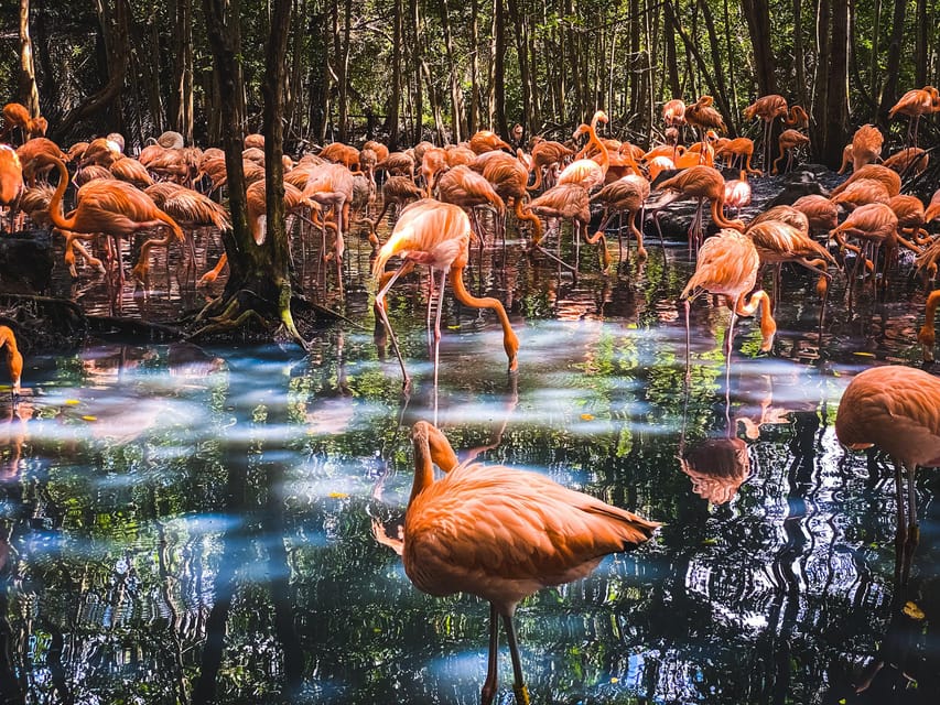 Cartagena: Ecoplan on Barú, Aviary and Oceanarium in one day - What to pack and what to leave behind