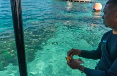 Ecoplan on Barú, Aviary and Oceanarium in one day