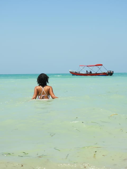 Cartagena: Ecoplan on Barú, Aviary and Oceanarium in one day - The boat to the Rosario Islands