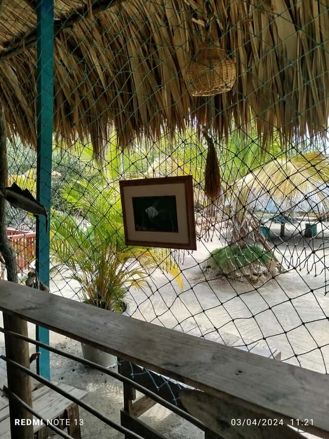 Cartagena: FISHERMEN'S ISLAND IN THE MANGROVES by canoe - Why this canoe trip feels different from Cartagena’s usual tours