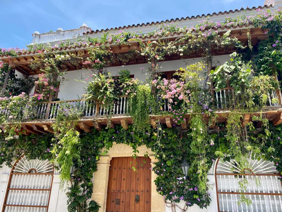 Cartagena: History, Culture & Coffee Experience - Timing, Transport, and Comfort Tips