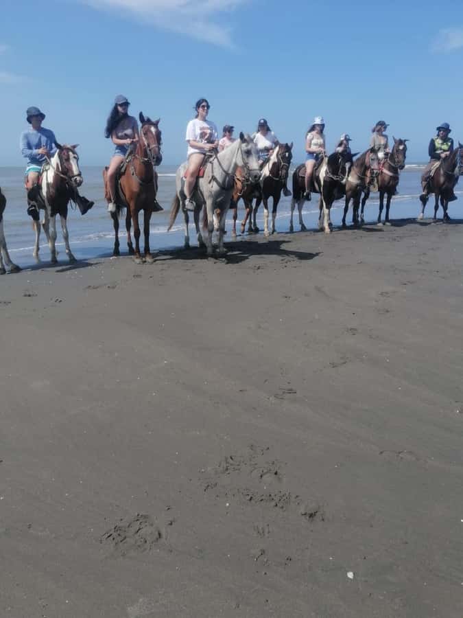 Cartagena: Horse riding on the beaches of Cartagena & PHOTOS - Starting behind the Sonesta Hotel